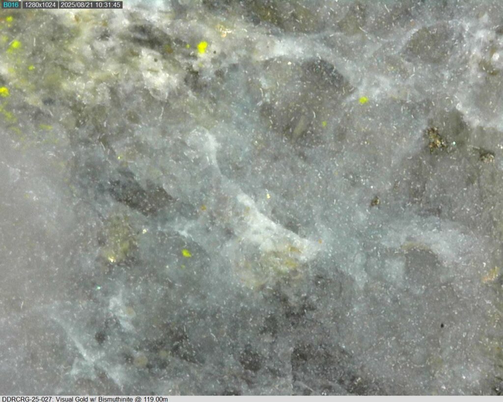 Ddrcrg 25 027 119.00m 225x 02