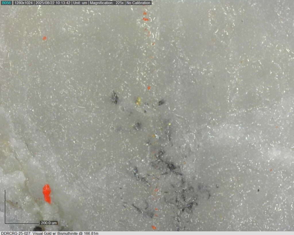 Ddrcrg 25 027 166.81m 225x 03