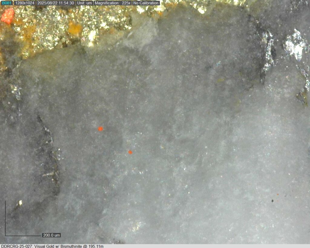 Ddrcrg 25 027 195.11m 225x 03