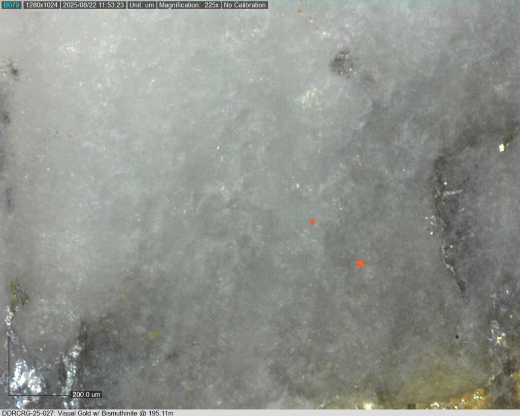 Ddrcrg 25 027 195.11m 225x 05