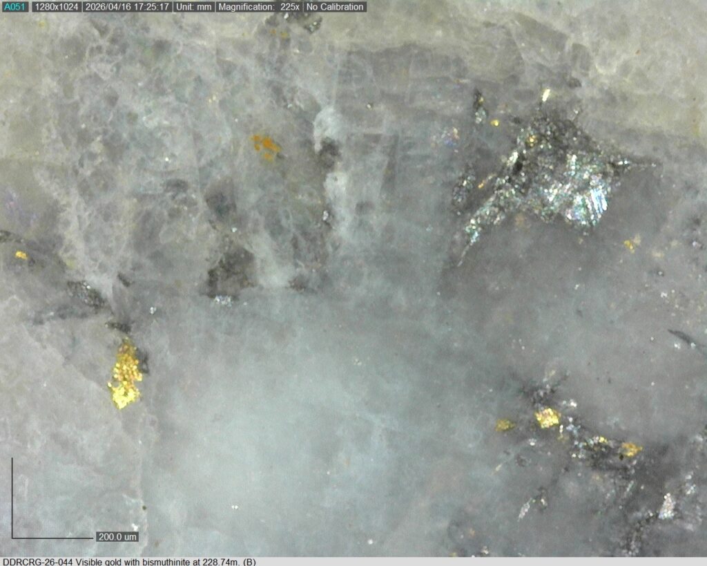 Ddrcrg 26 044 Vg 228.74m B