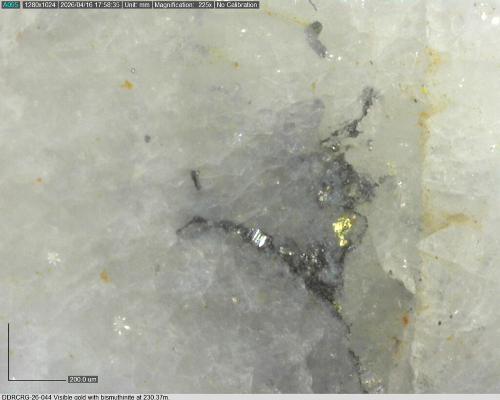 Ddrcrg 26 044 Vg 230.37m