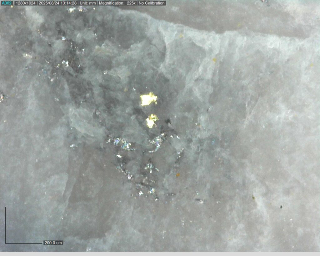 Drcgr 25 02 Vg At 208.41m 225x