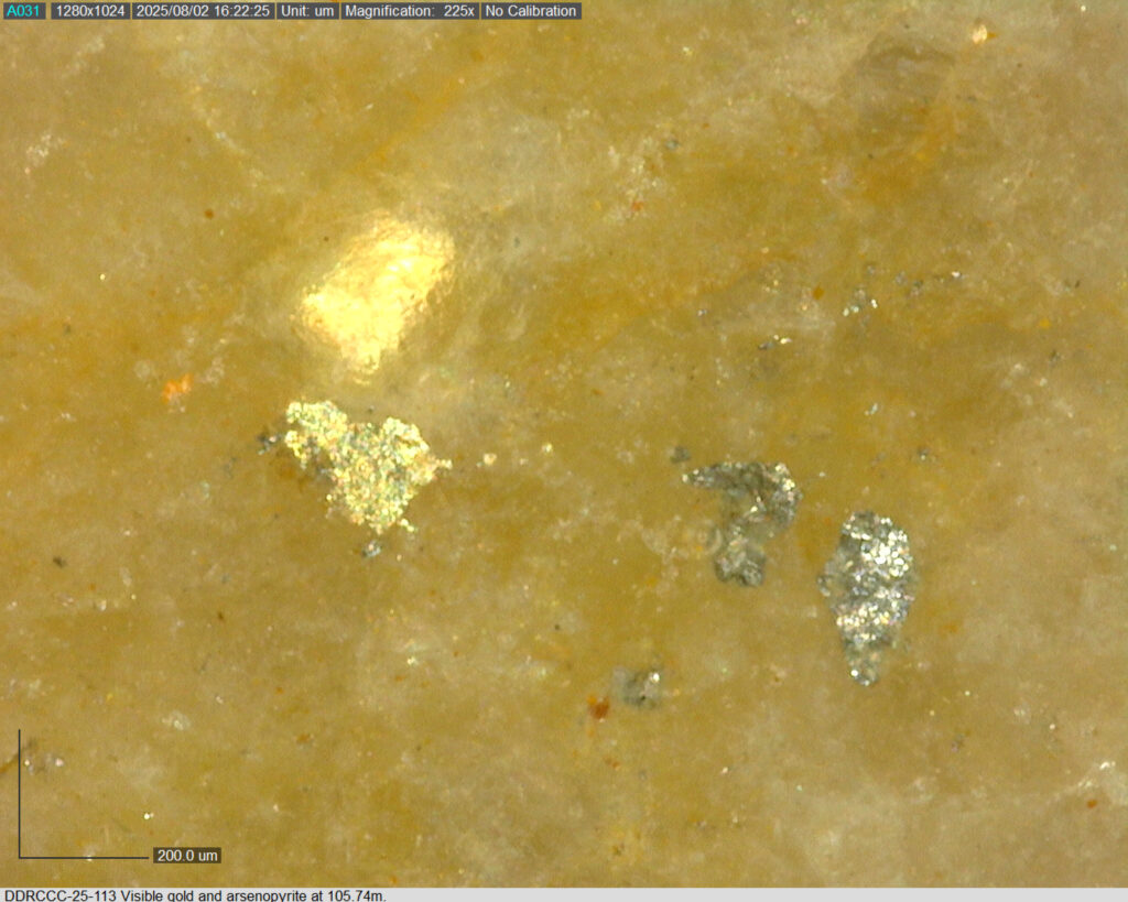 Ddrccc 25 113 105.74m