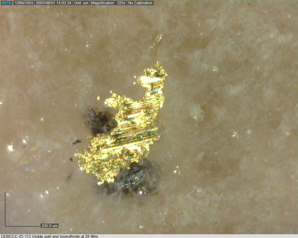 Ddrccc 25 113 28.86m