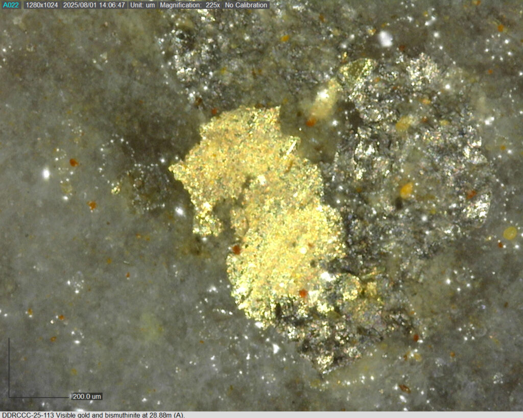 Ddrccc 25 113 28.88m A