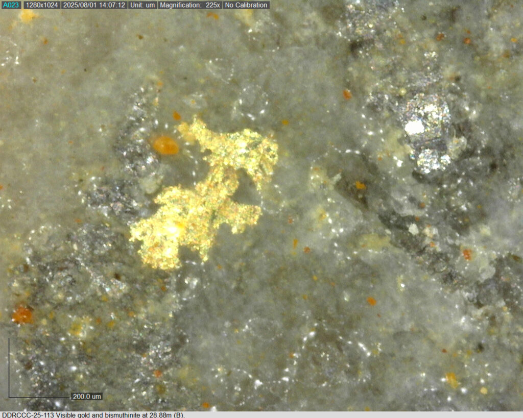 Ddrccc 25 113 28.88m B