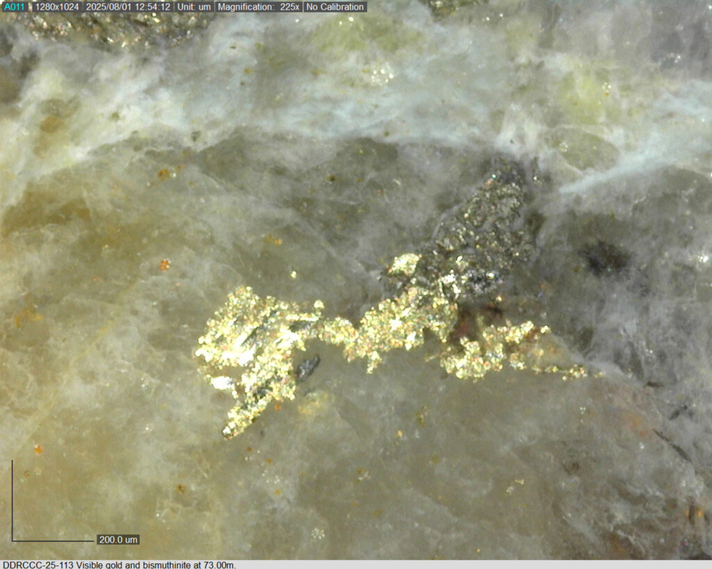 Ddrccc 25 113 73.00m