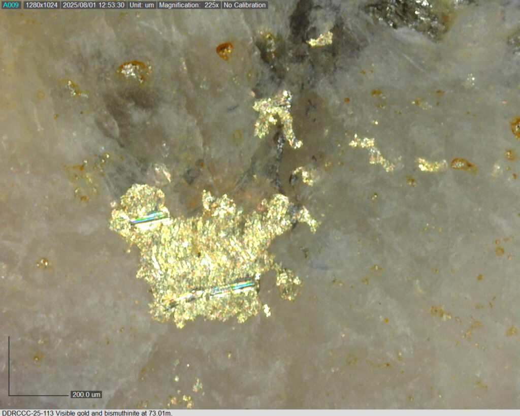 Ddrccc 25 113 73.01m