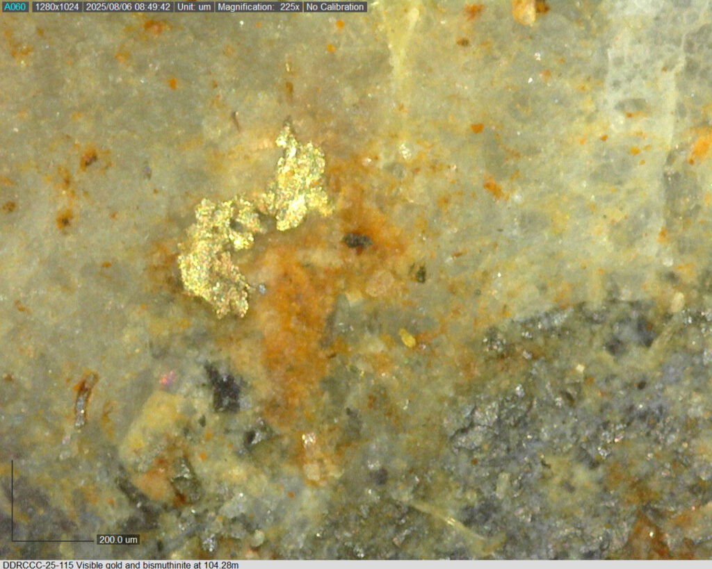 Ddrccc 25 115 104.28m