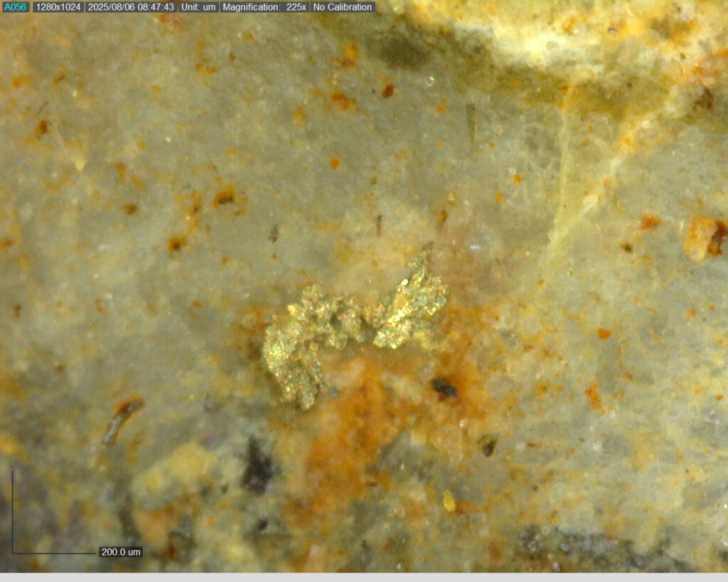 Ddrccc 25 115 145.56m