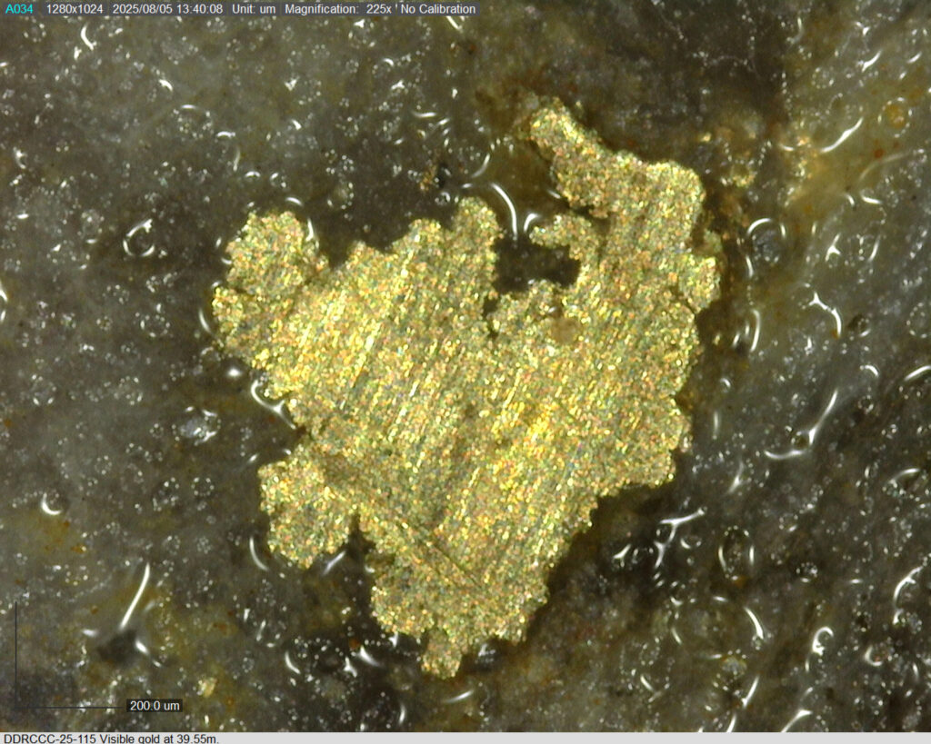 Ddrccc 25 115 39.55m