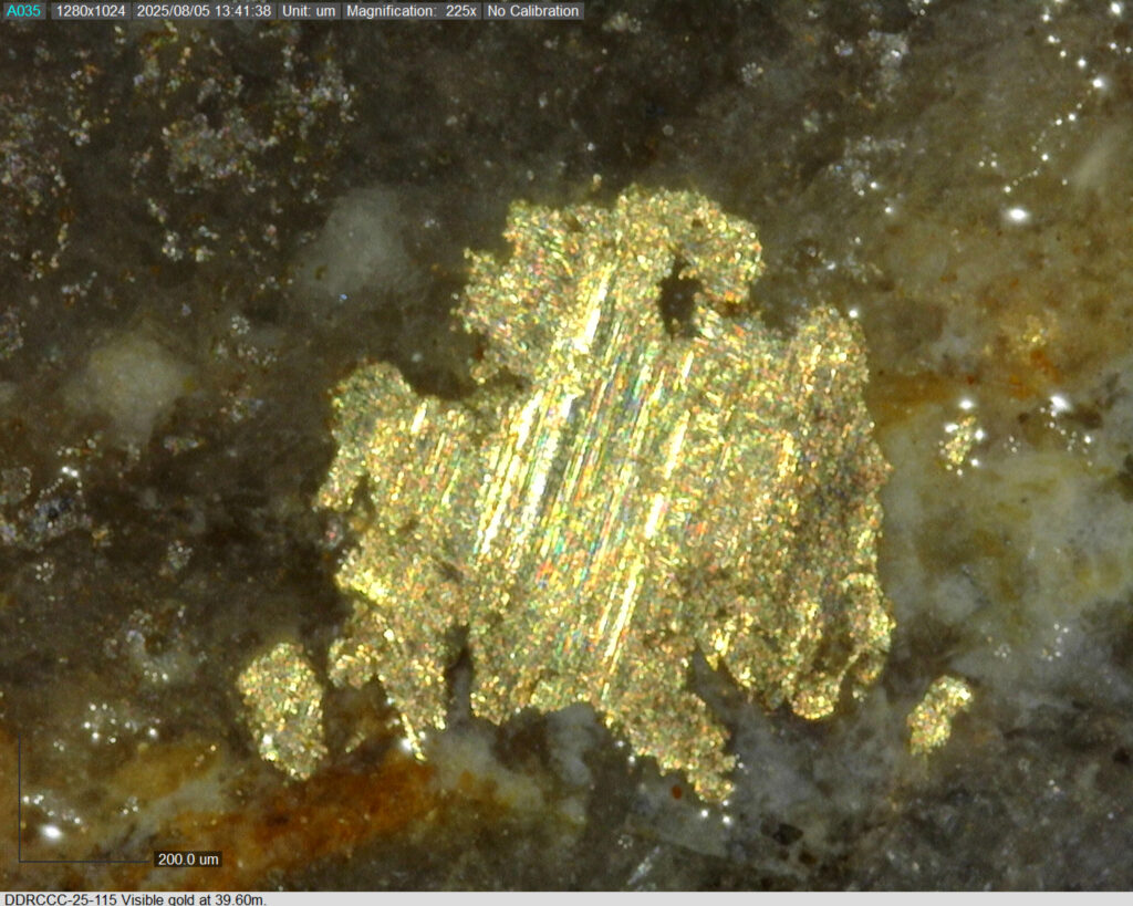 Ddrccc 25 115 39.60m