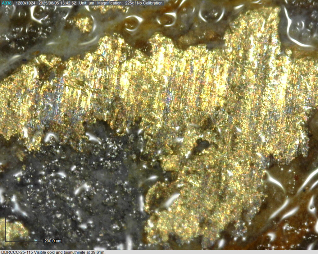 Ddrccc 25 115 39.61m 1