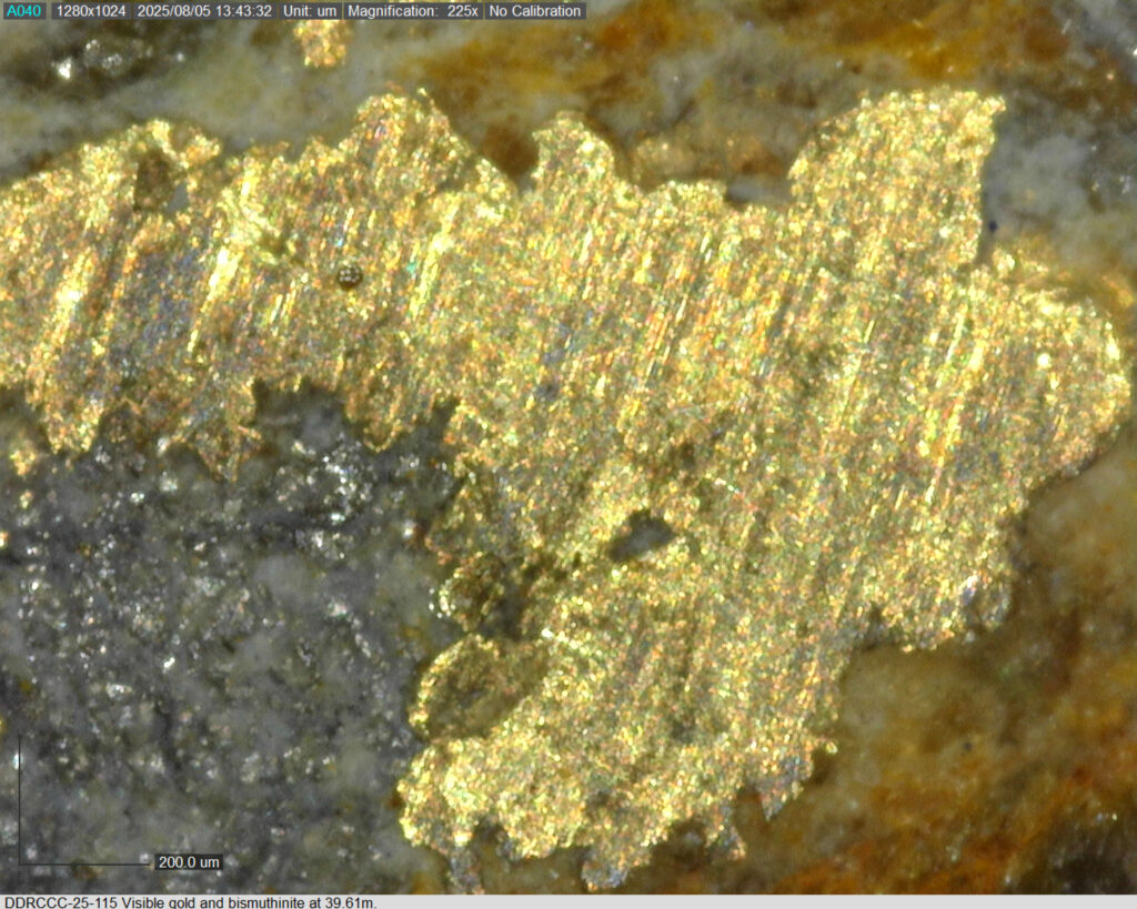 Ddrccc 25 115 39.61m 2