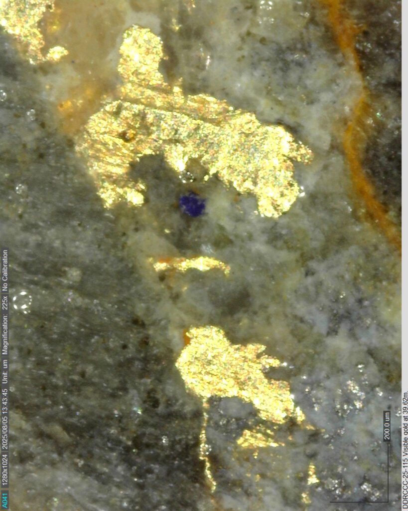 Ddrccc 25 115 39.62m