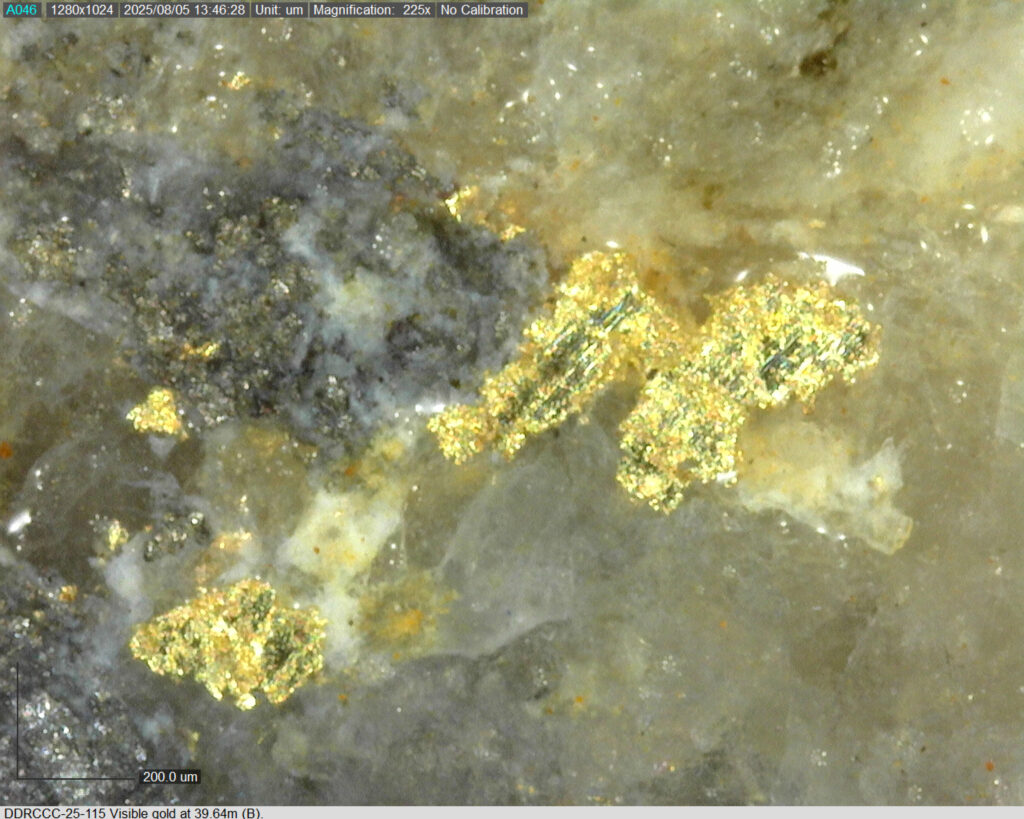 Ddrccc 25 115 39.64m B