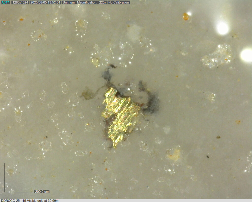 Ddrccc 25 115 39.99m