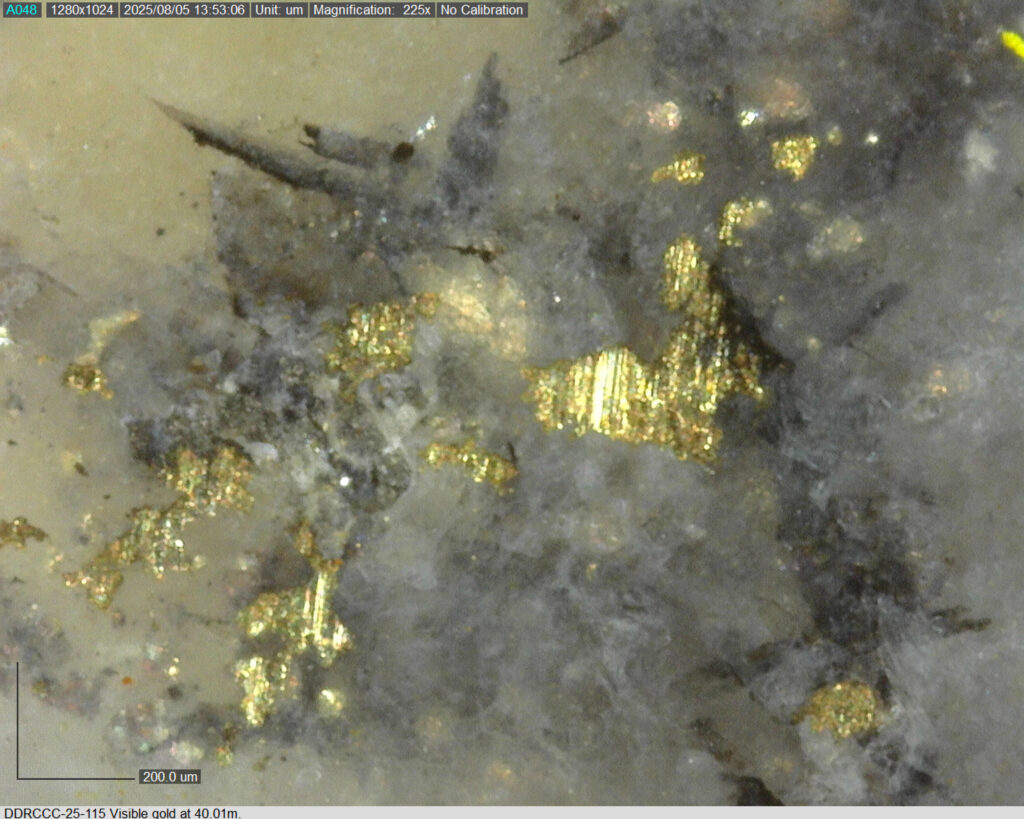 Ddrccc 25 115 40.01m