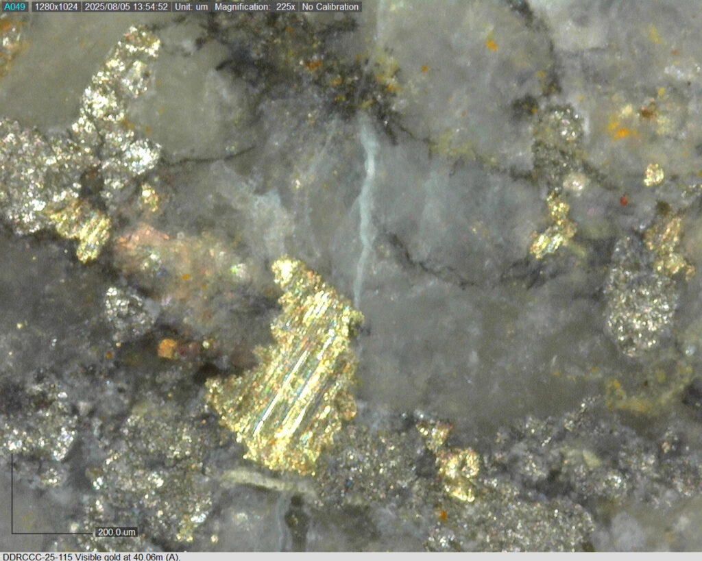 Ddrccc 25 115 40.06m A