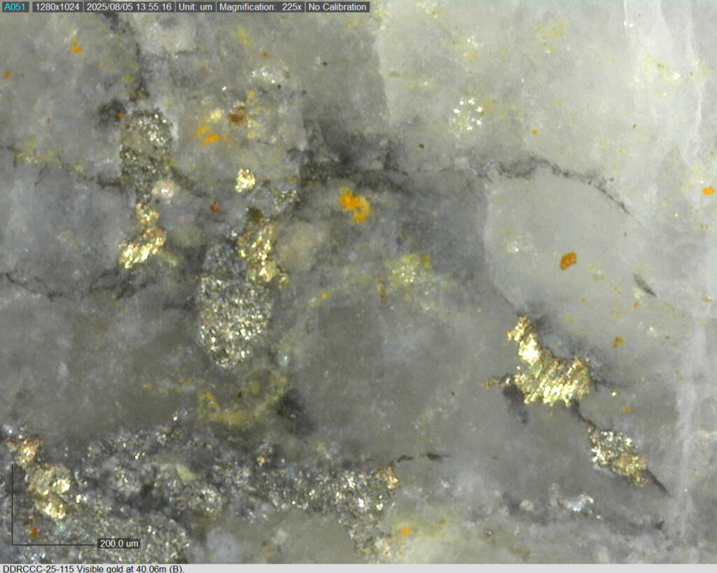 Ddrccc 25 115 40.06m B