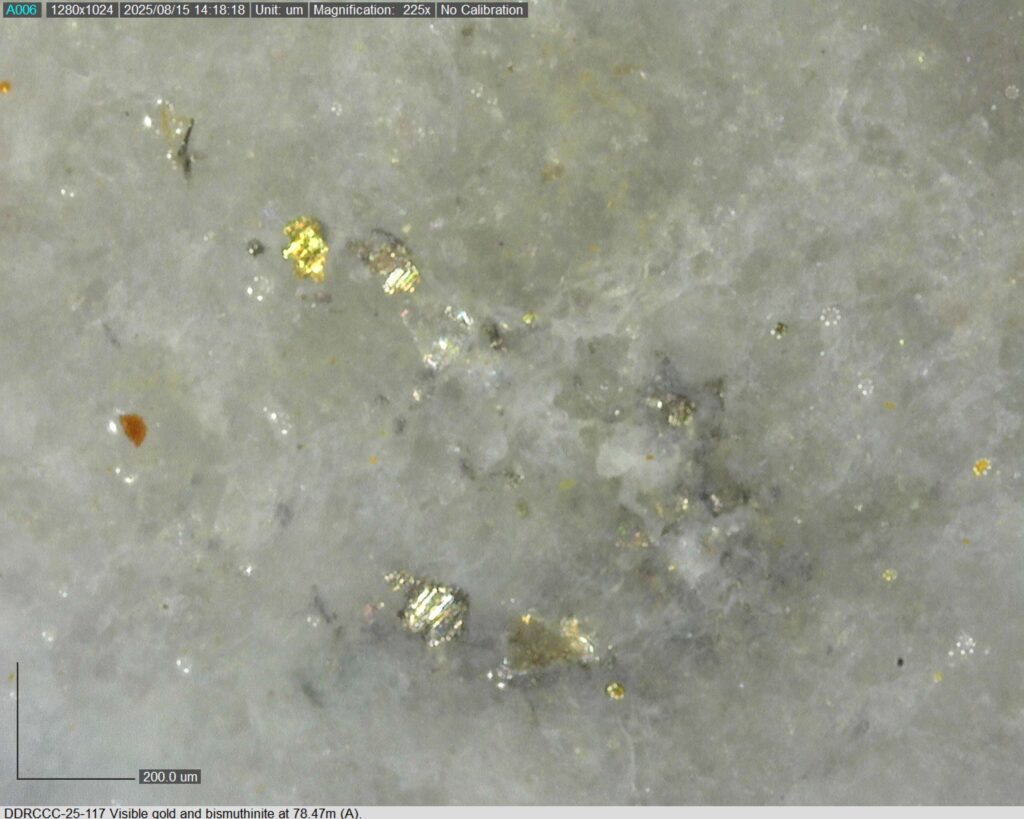 Ddrccc 25 117 78.47m A