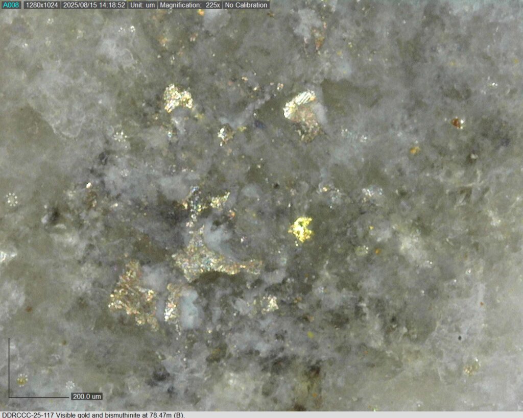 Ddrccc 25 117 78.47m B