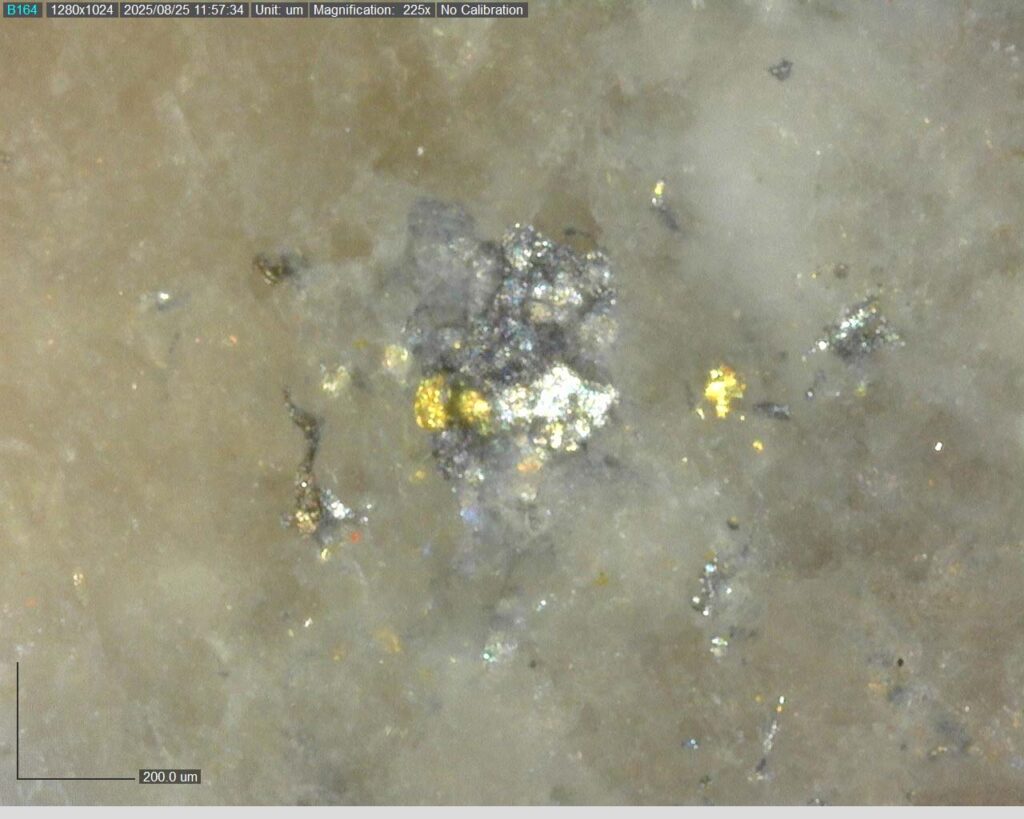 Ddrccc 25 118 Vg 123.38m 225x 