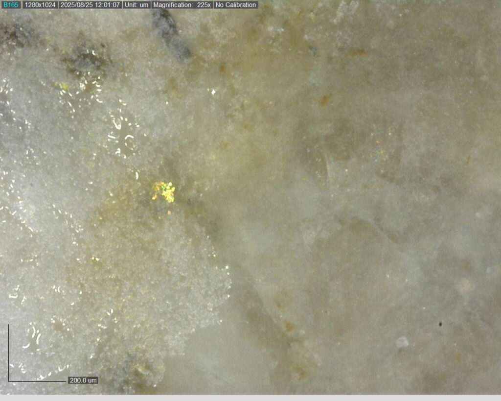 Ddrccc 25 118 Vg 123.49m 225x 