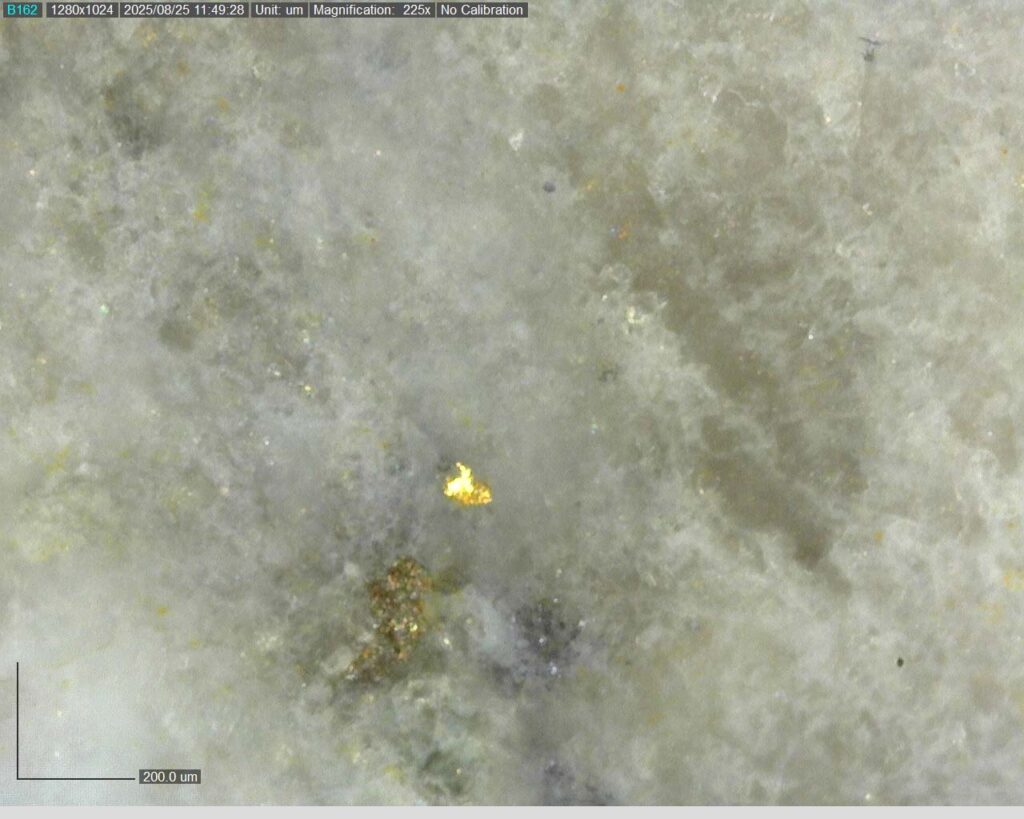 Ddrccc 25 118 Vg 87.43 225x 