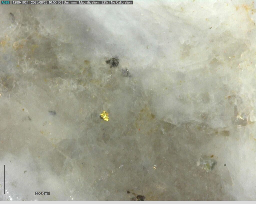 Ddrccc 25 118 Vg At 24.08m 225x 0