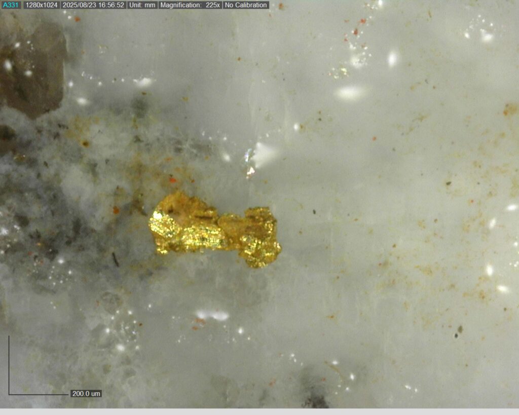 Ddrccc 25 118 Vg At 24.08m 225x 1