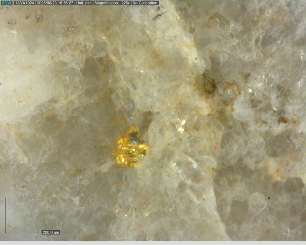 Ddrccc 25 118 Vg At 24.08m 225x 2