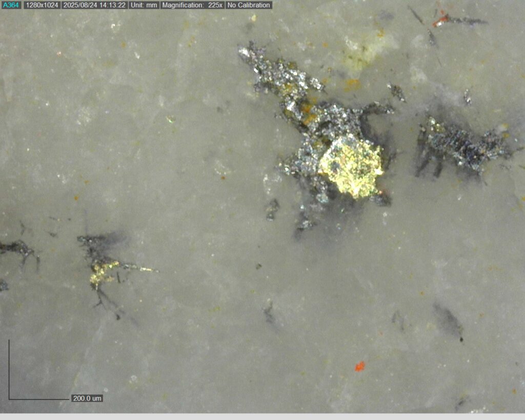 Ddrccc 25 118 Vg At 71.02m 225x 