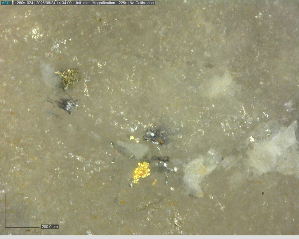 Ddrccc 25 118 Vg At 73.26m 225x 1