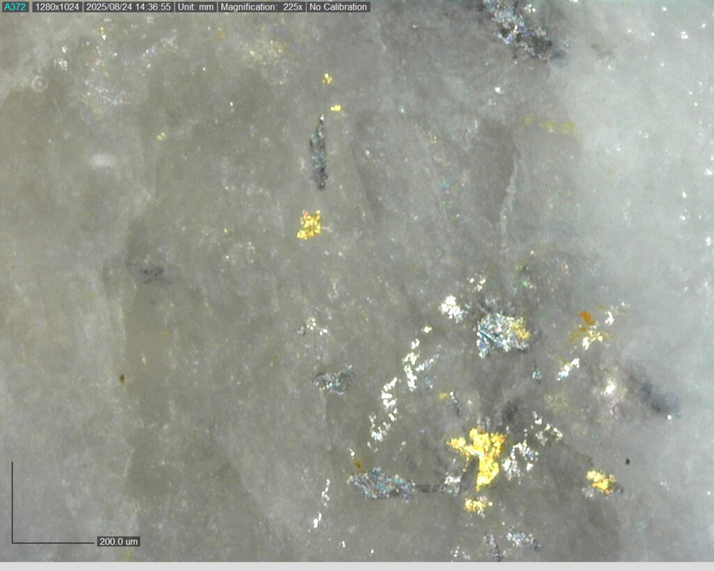 Ddrccc 25 118 Vg At 73.42m 225x 