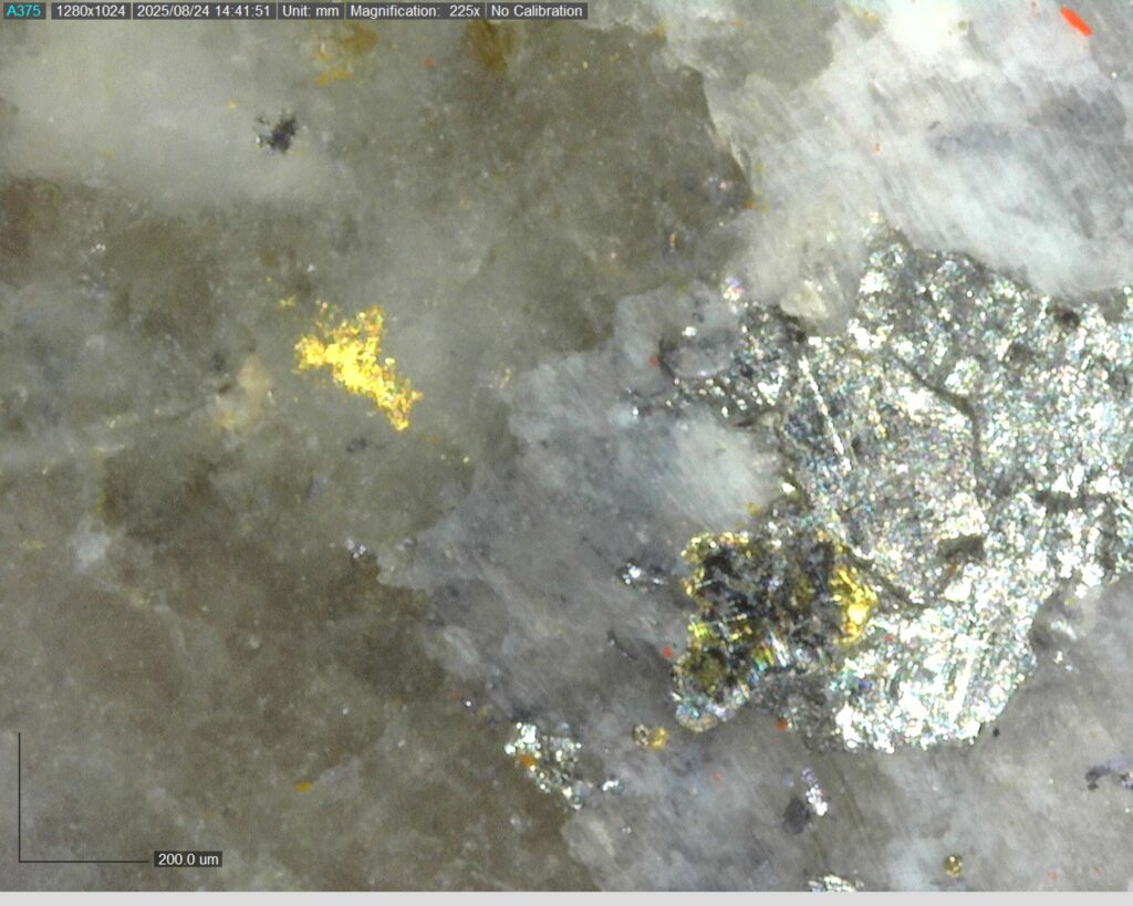 Ddrccc 25 118 Vg At 75.95m 225x 2