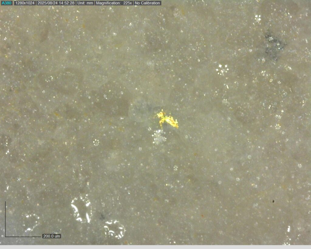 Ddrccc 25 118 Vg At 80.09m 225x 