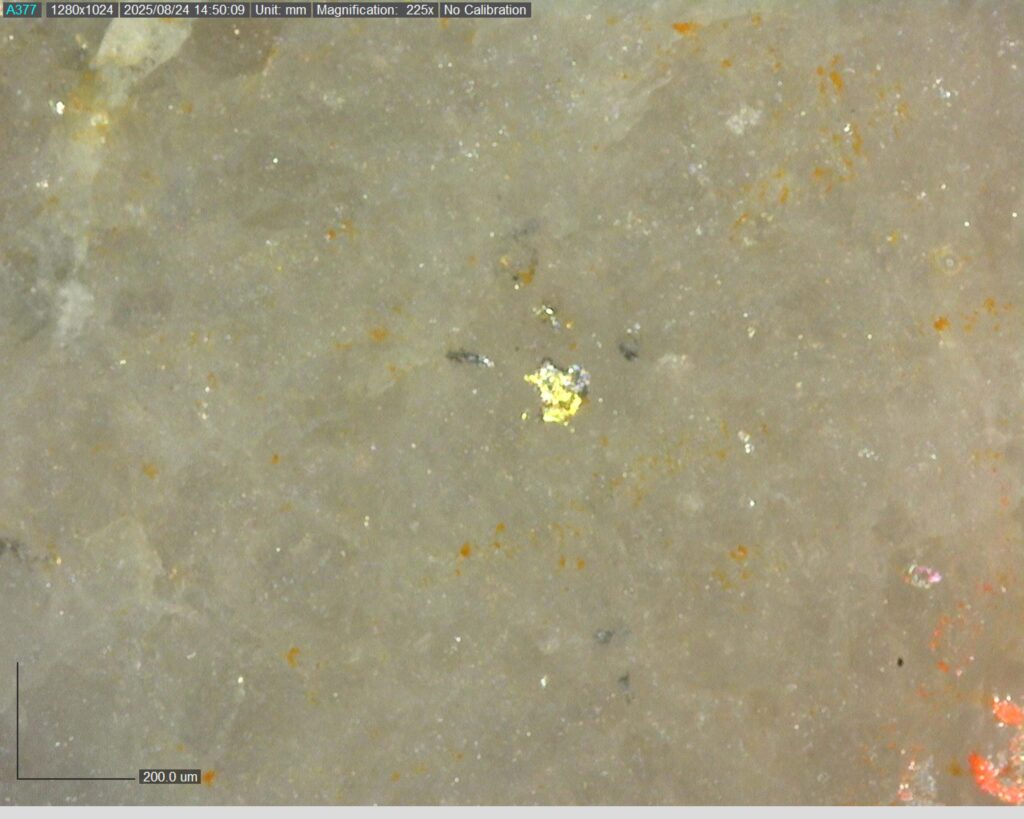 Ddrccc 25 118 Vg At 80.13m 225x 0