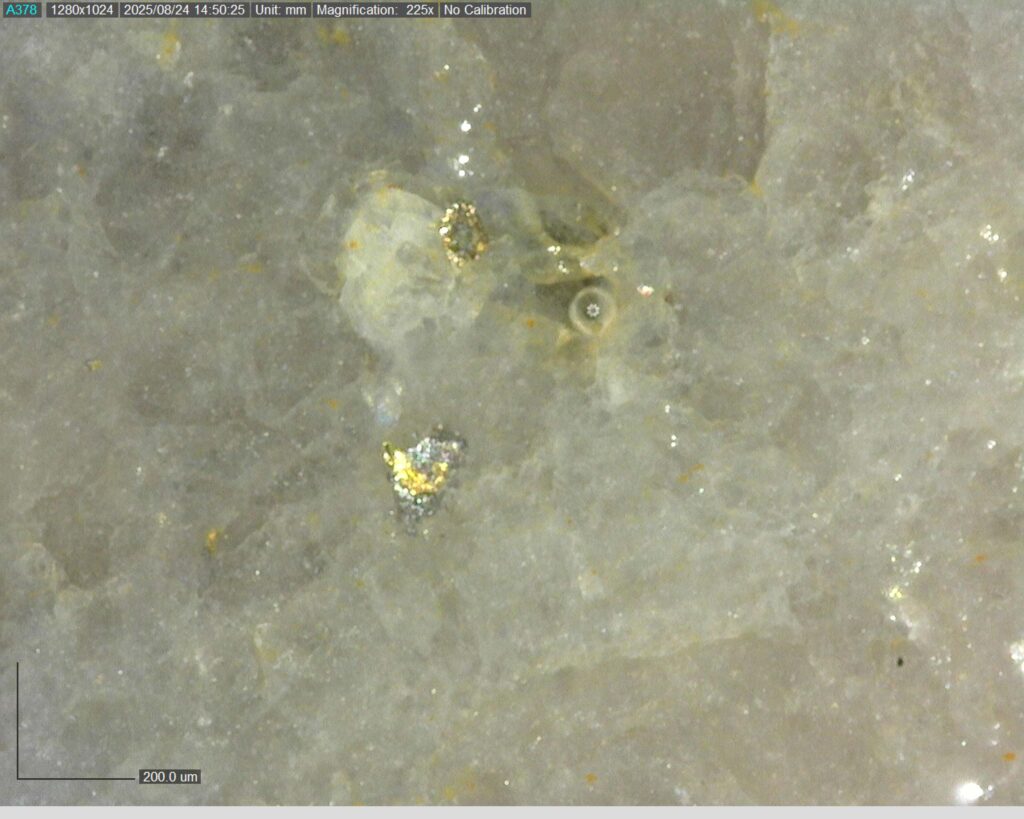 Ddrccc 25 118 Vg At 80.13m 225x 1