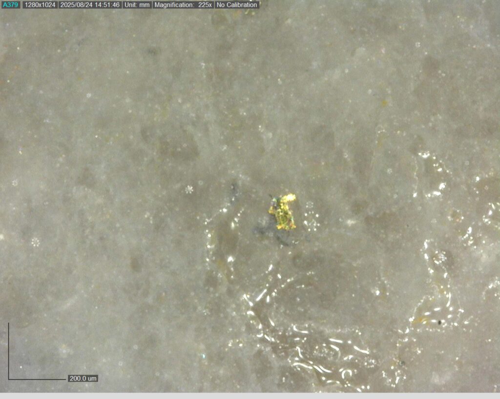 Ddrccc 25 118 Vg At 80.13m 225x 2