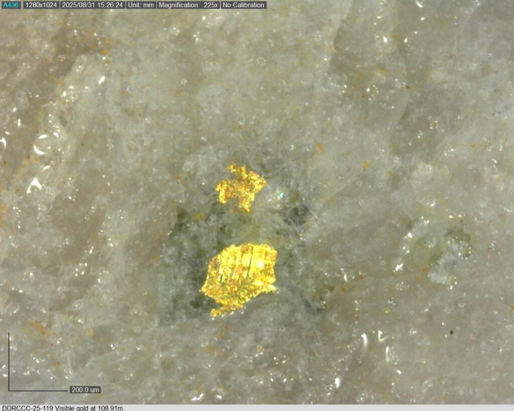 Ddrccc 25 119 108.91m