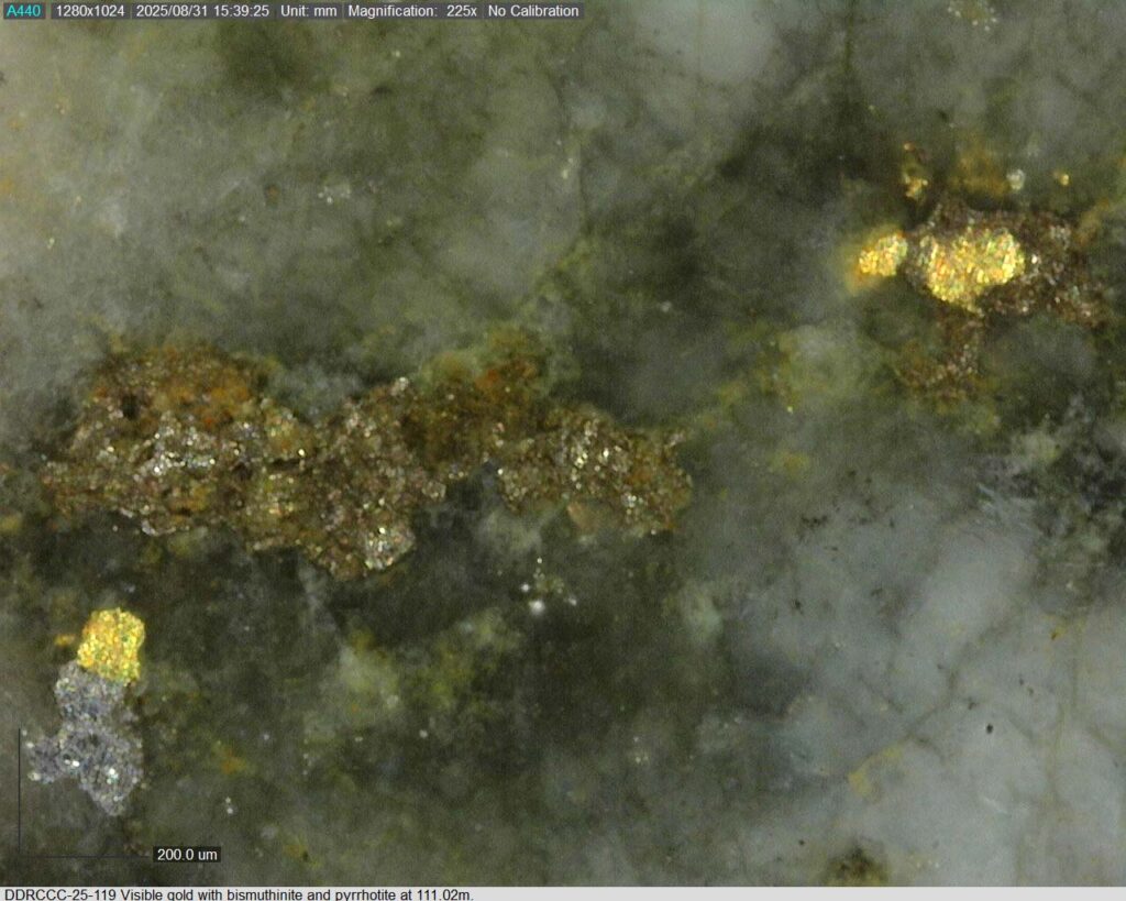 Ddrccc 25 119 111.02m