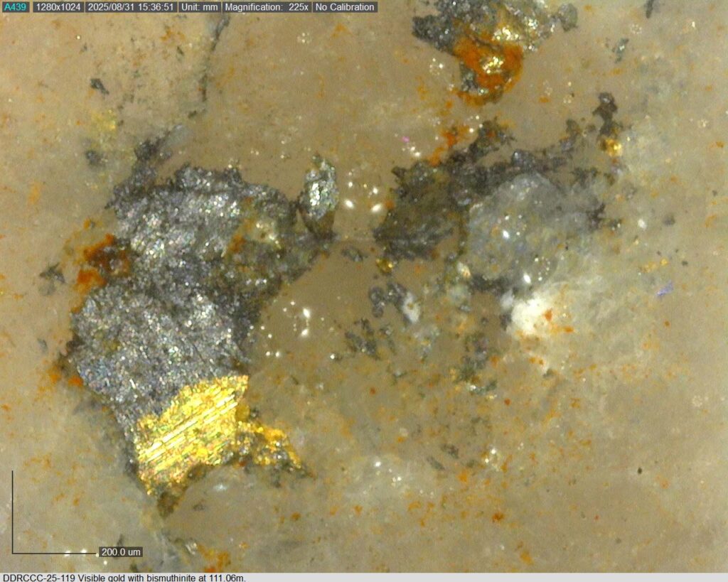 Ddrccc 25 119 111.06m