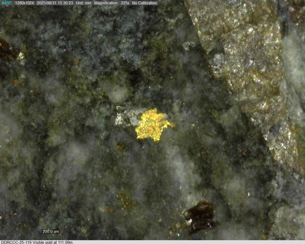 Ddrccc 25 119 111.09m