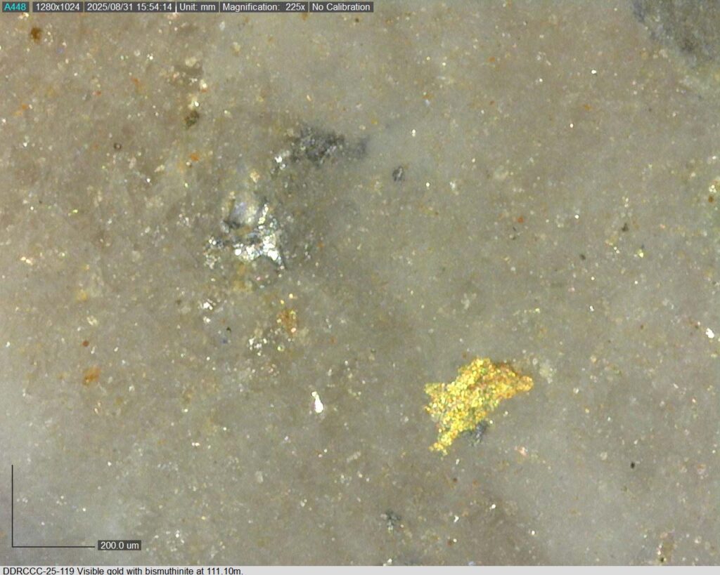 Ddrccc 25 119 111.10m