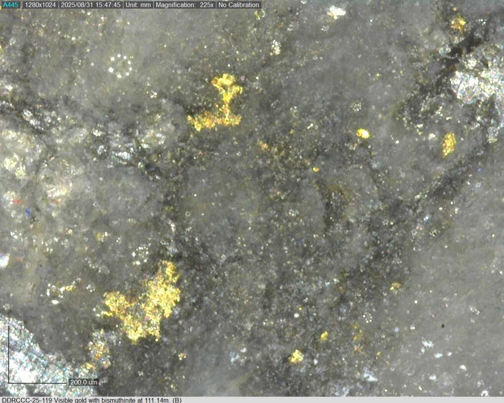 Ddrccc 25 119 111.14m B