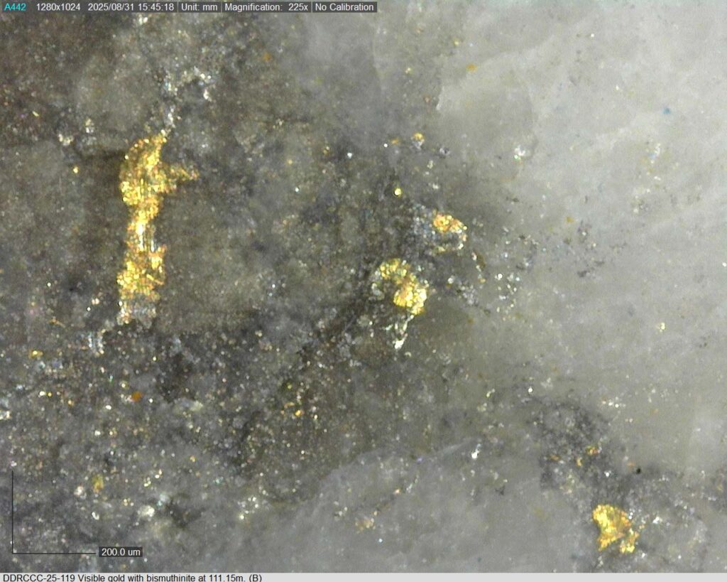 Ddrccc 25 119 111.15m B