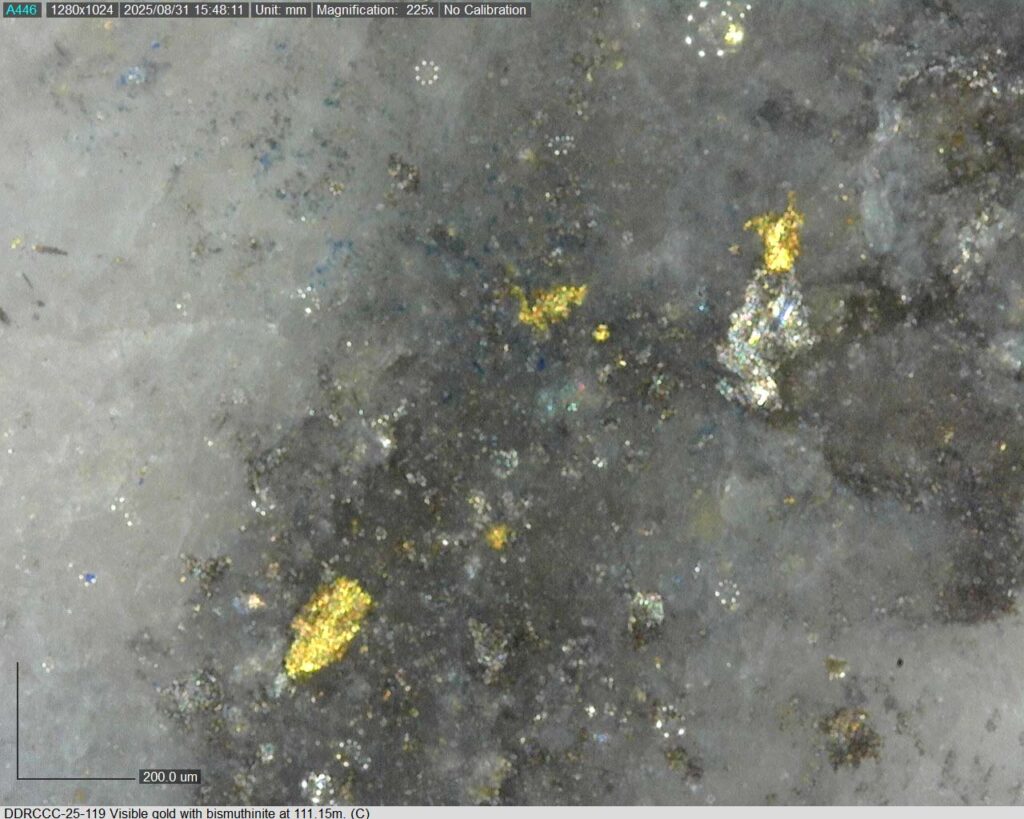 Ddrccc 25 119 111.15m C