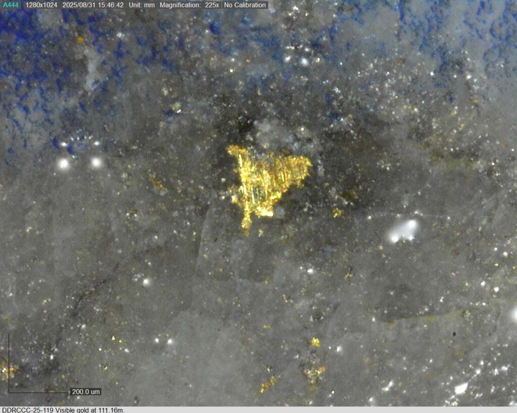 Ddrccc 25 119 111.16m